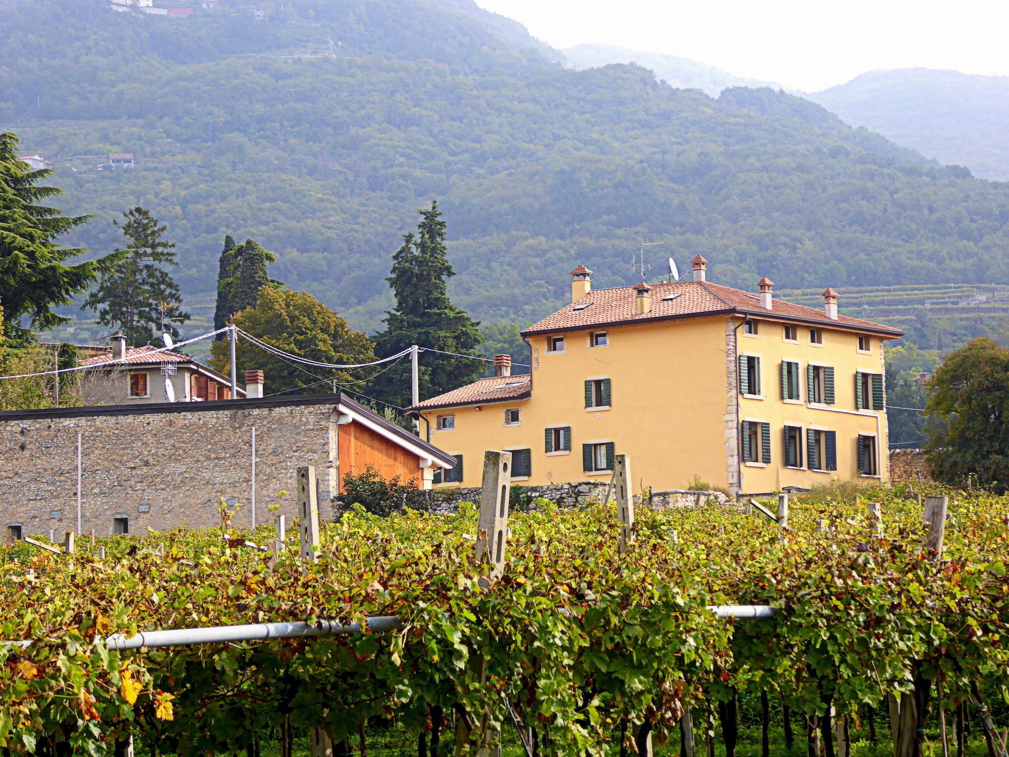 B&B Agora Negrar Dış mekan fotoğraf